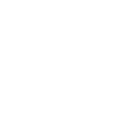meat